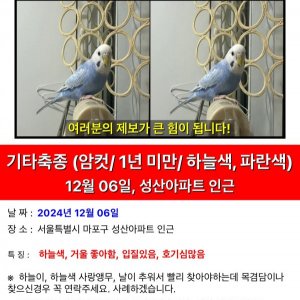 잃어버린 동물을 찾습니다 조류 서울특별시 마포구