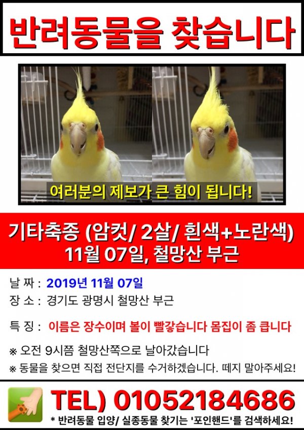 잃어버린 동물을 찾습니다