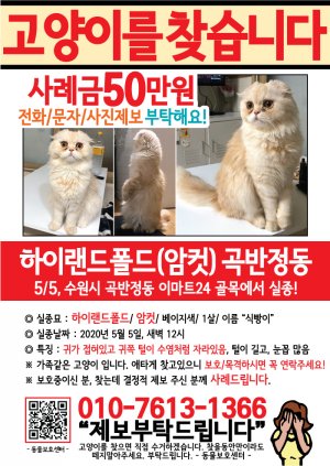 고양이를 찾습니다 전단지