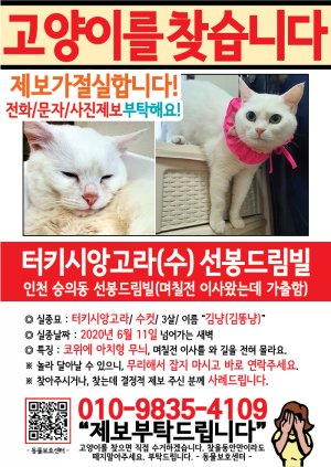 고양이를 찾습니다 전단지