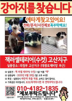 강아지를 찾습니다 전단지