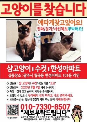 고양이를 찾습니다 전단지