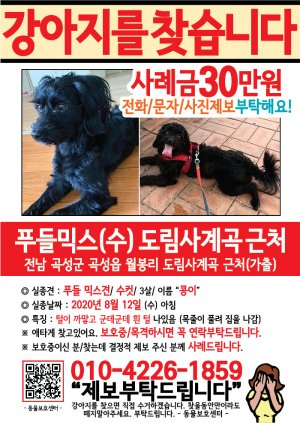 강아지를 찾습니다 전단지