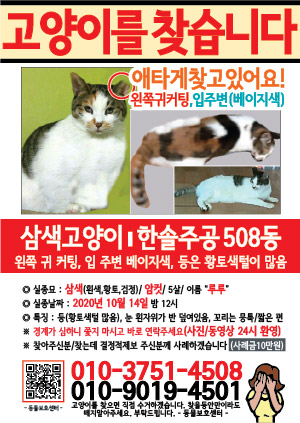 고양이를 찾습니다 전단지