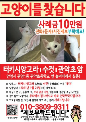 고양이를 찾습니다 전단지