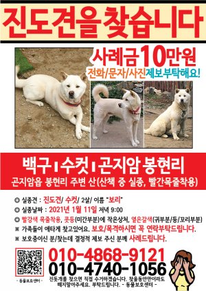 강아지를 찾습니다 전단지