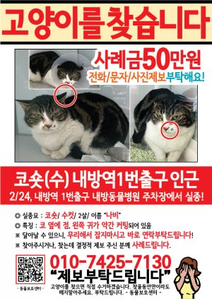 고양이를 찾습니다 전단지