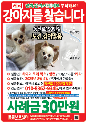 강아지를 찾습니다 전단지