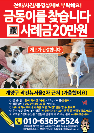강아지를 찾습니다 전단지