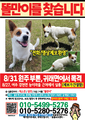 강아지를 찾습니다 전단지