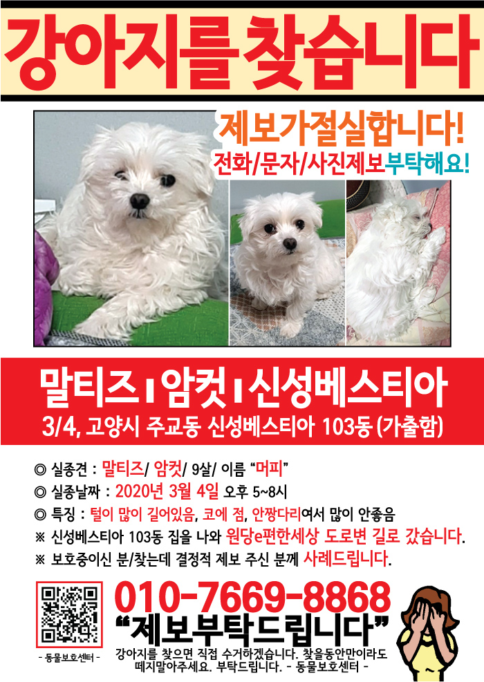 강아지 고양이 전단지