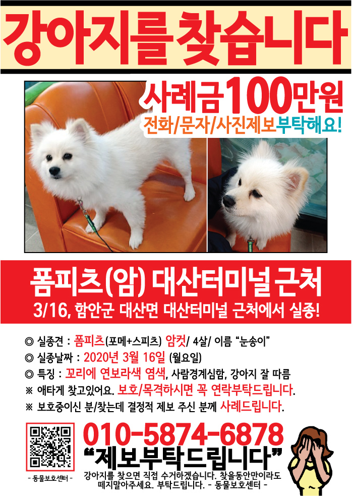 강아지 고양이 전단지