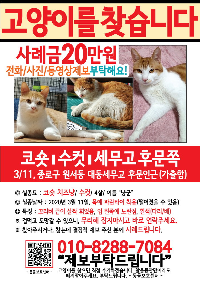 강아지 고양이 전단지