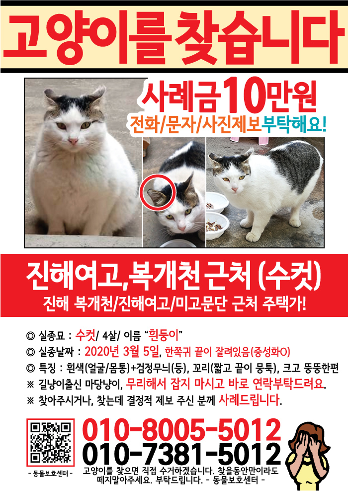 강아지 고양이 전단지