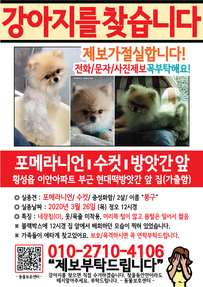 강아지 고양이 전단지