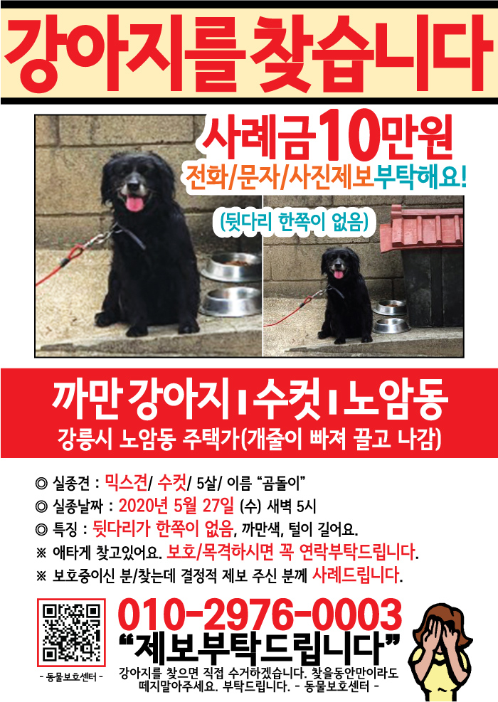 강아지 고양이 전단지