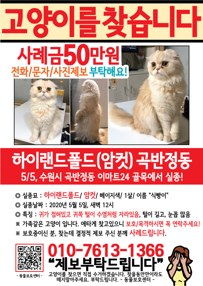 강아지 고양이 전단지