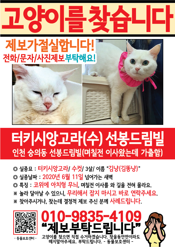 강아지 고양이 전단지