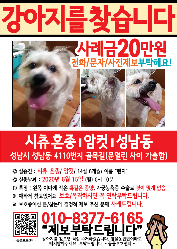 강아지 고양이 전단지