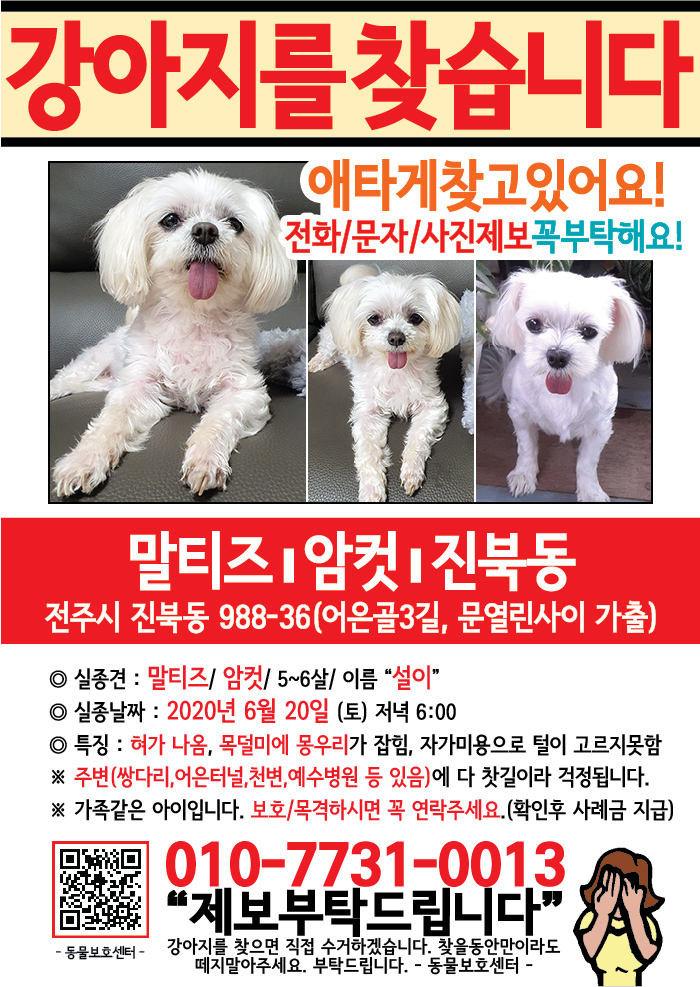 강아지 고양이 전단지