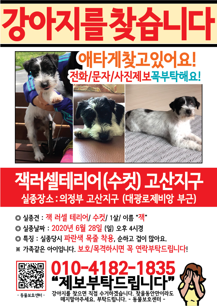 강아지 고양이 전단지