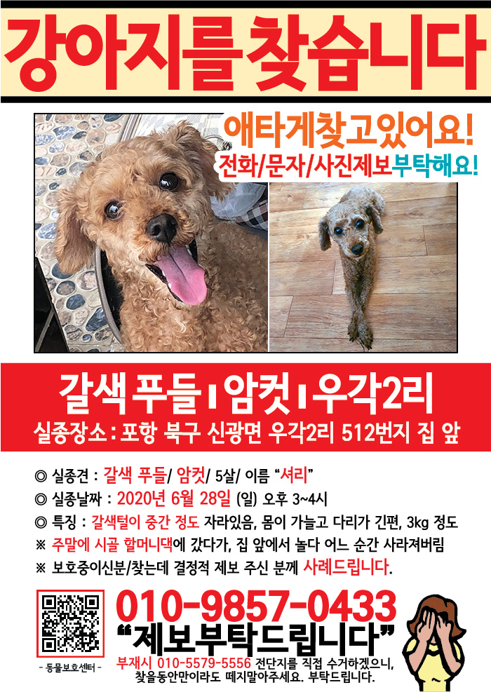 강아지 고양이 전단지