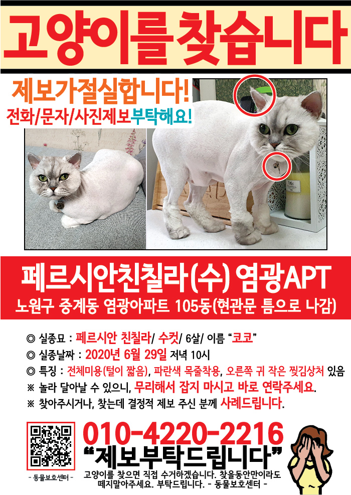 강아지 고양이 전단지