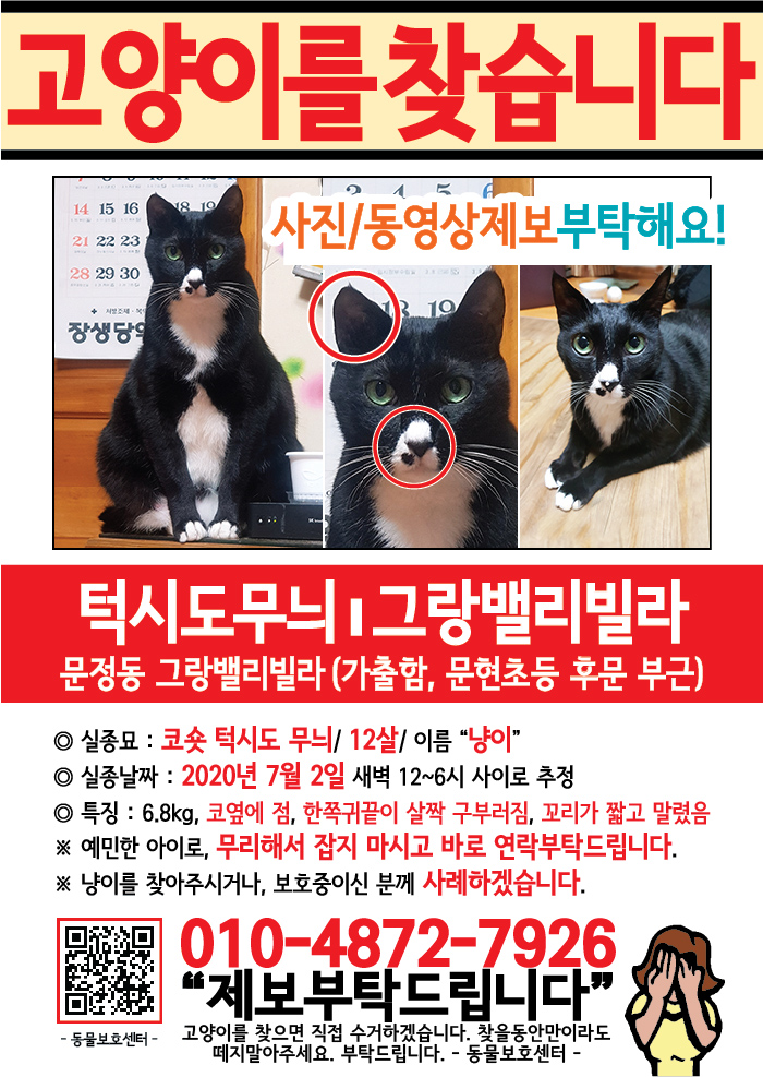 강아지 고양이 전단지