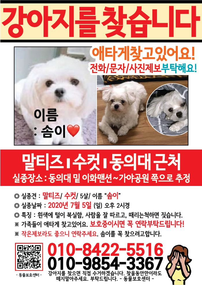 강아지 고양이 전단지