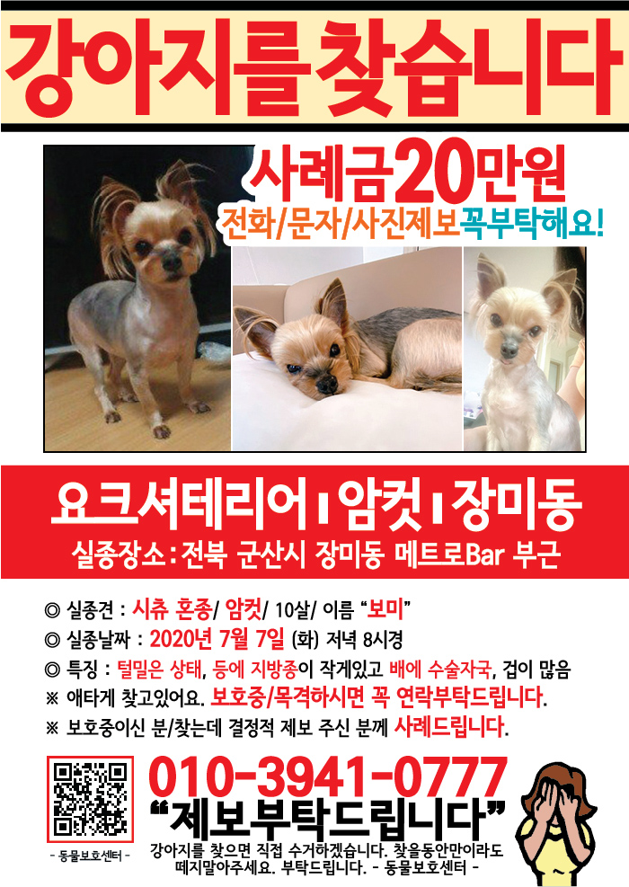 강아지 고양이 전단지