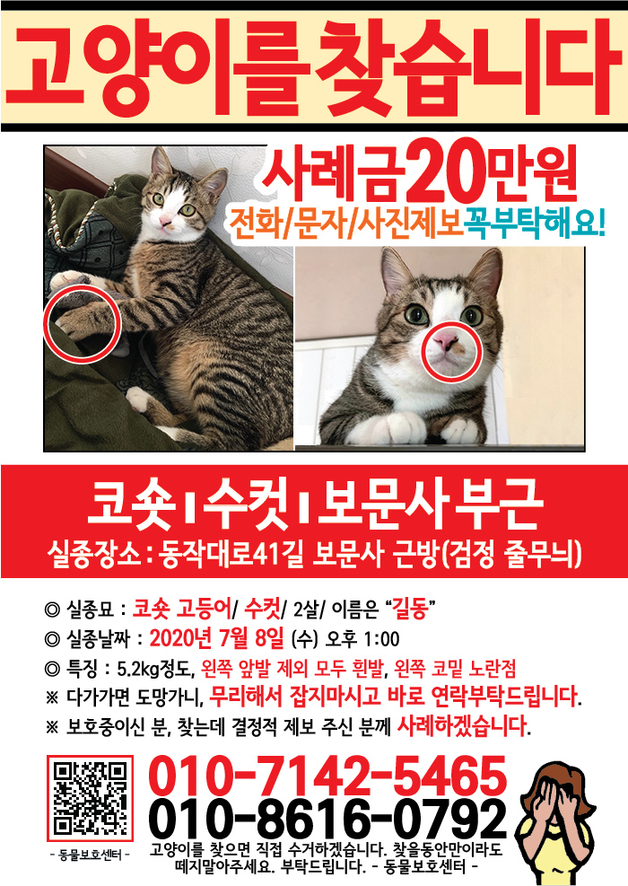 강아지 고양이 전단지