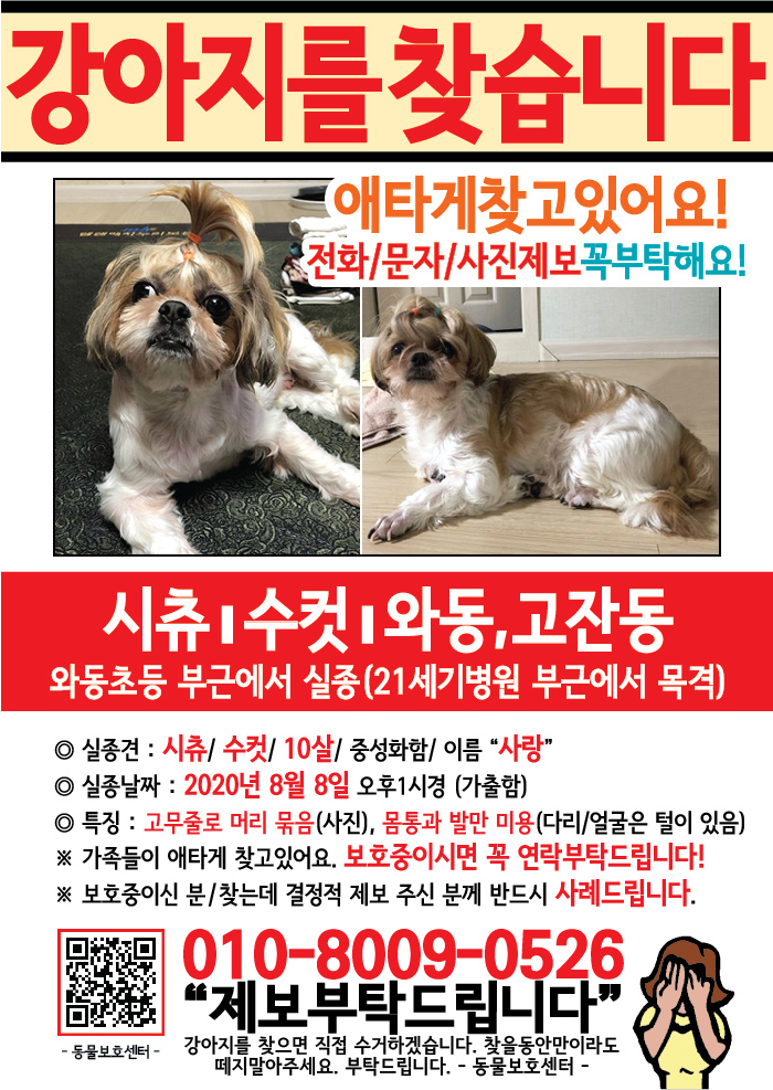 강아지 고양이 전단지