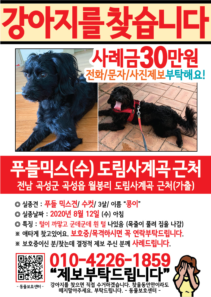 강아지 고양이 전단지