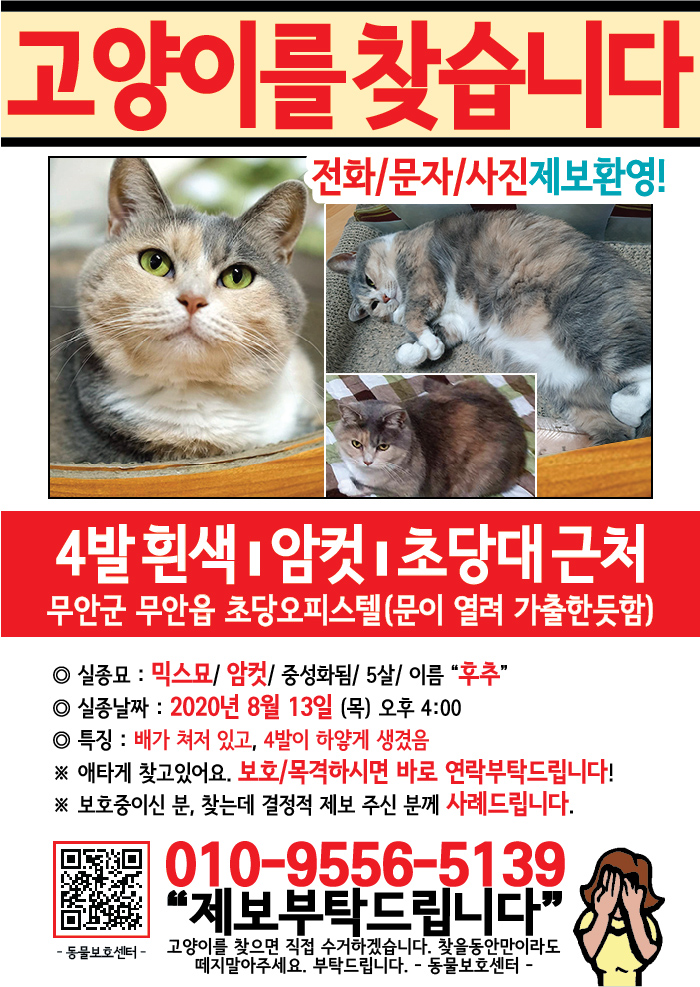 강아지 고양이 전단지