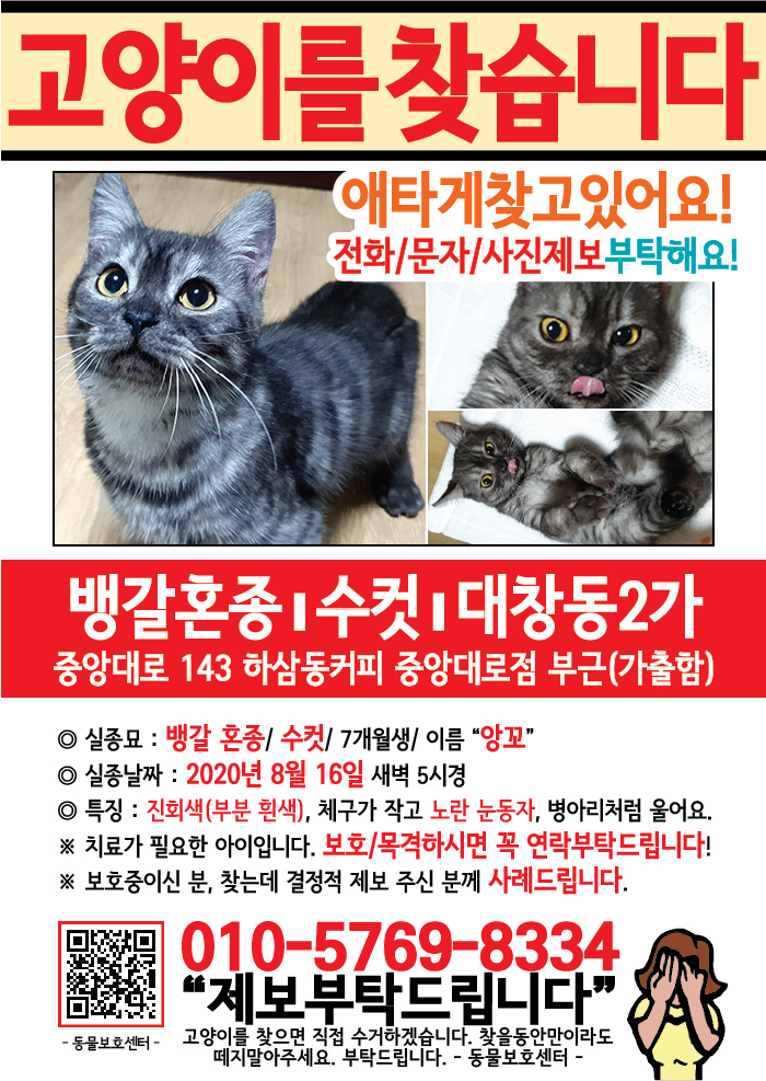 강아지 고양이 전단지