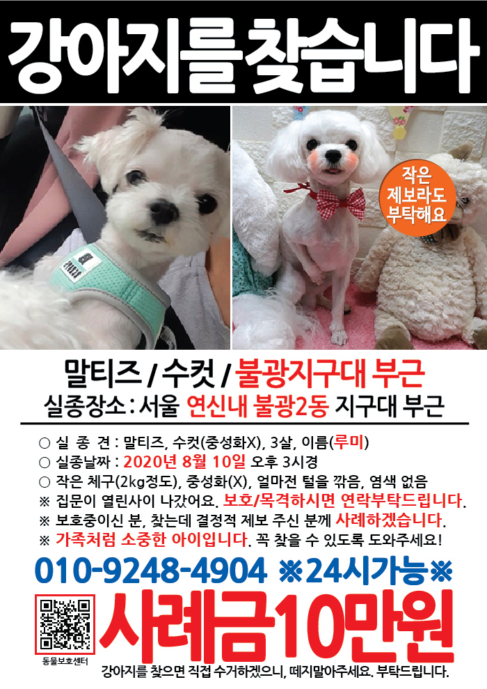 강아지 고양이 전단지