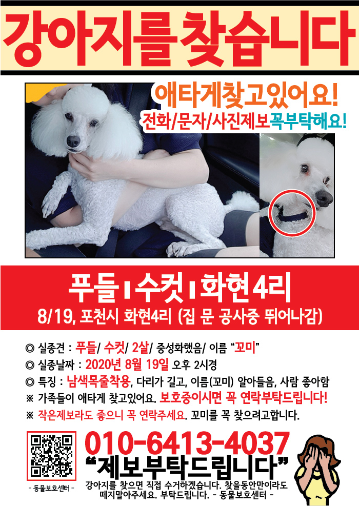 강아지 고양이 전단지