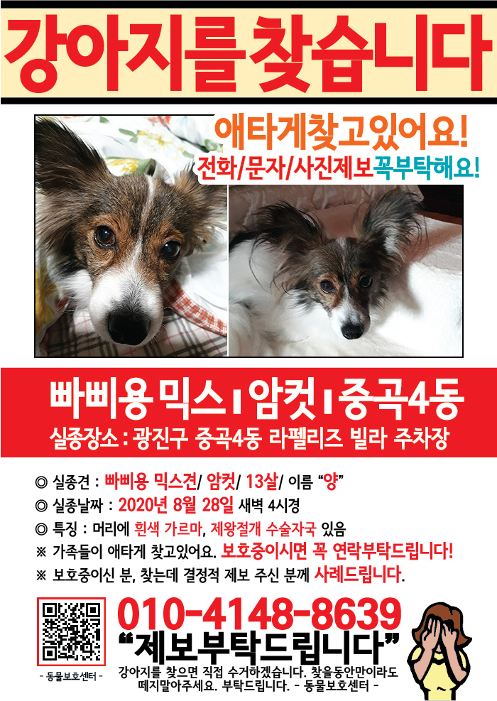 강아지 고양이 전단지