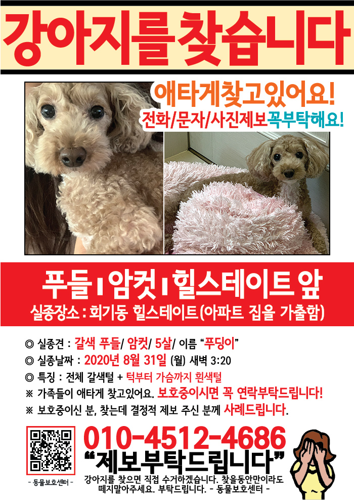 강아지 고양이 전단지