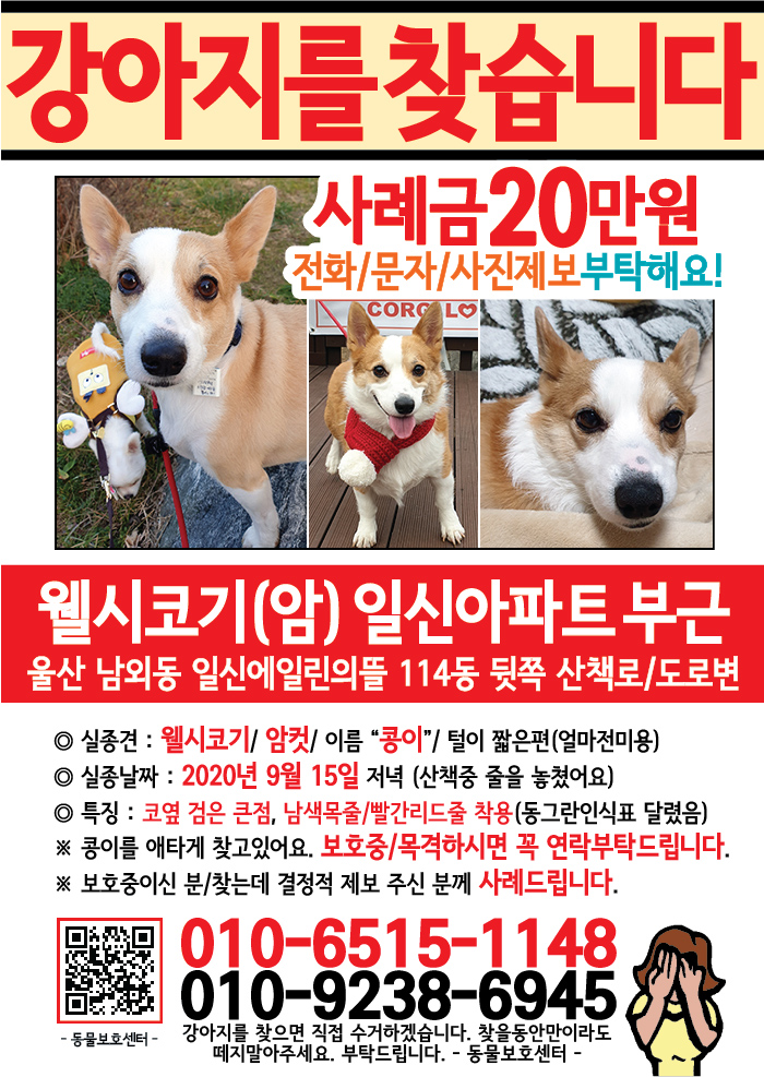 강아지 고양이 전단지