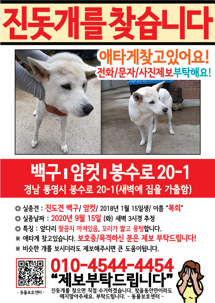 강아지 고양이 전단지