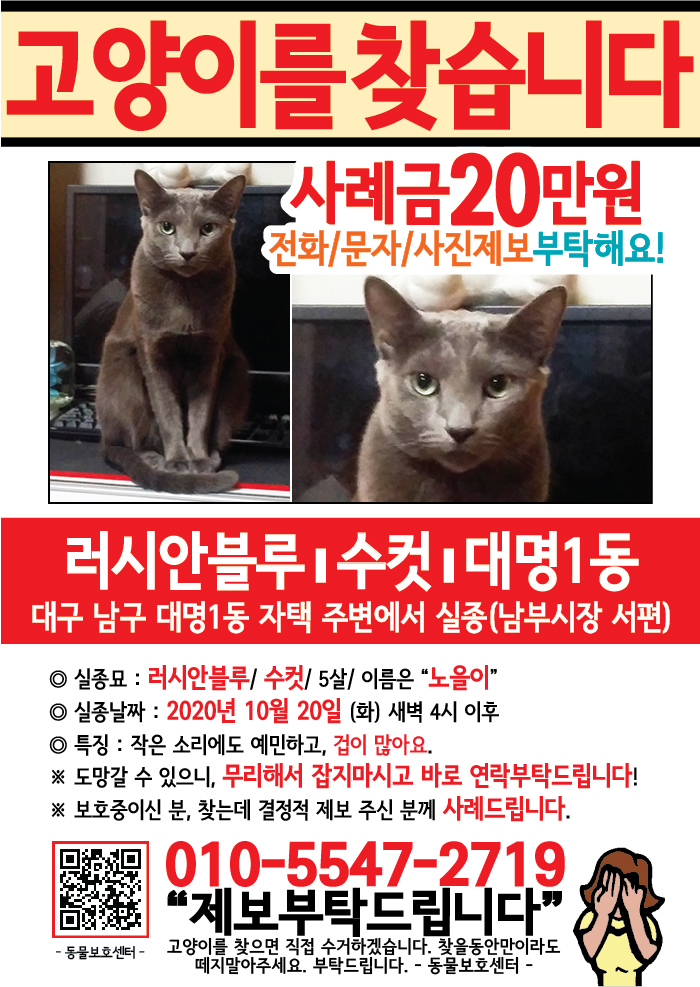 강아지 고양이 전단지