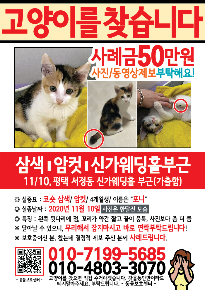 강아지 고양이 전단지