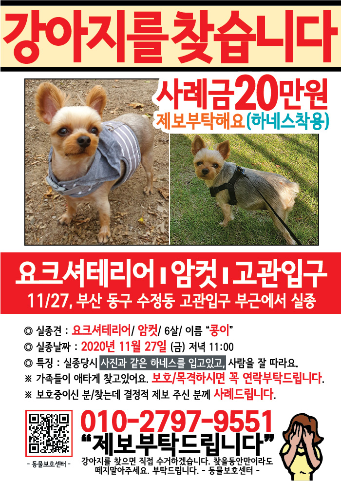 강아지 고양이 전단지