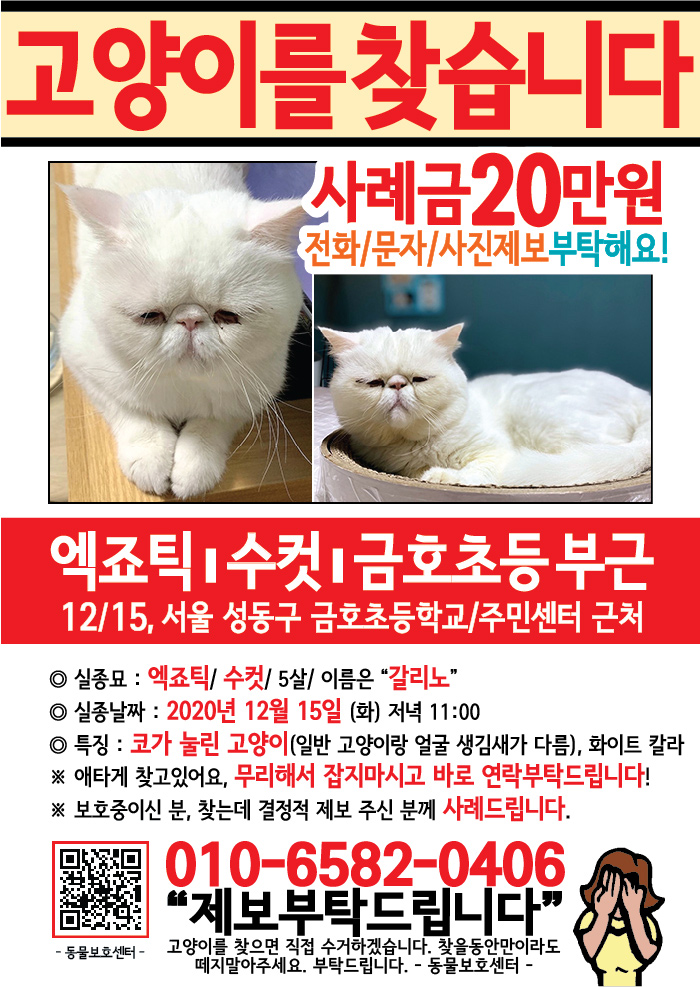 강아지 고양이 전단지