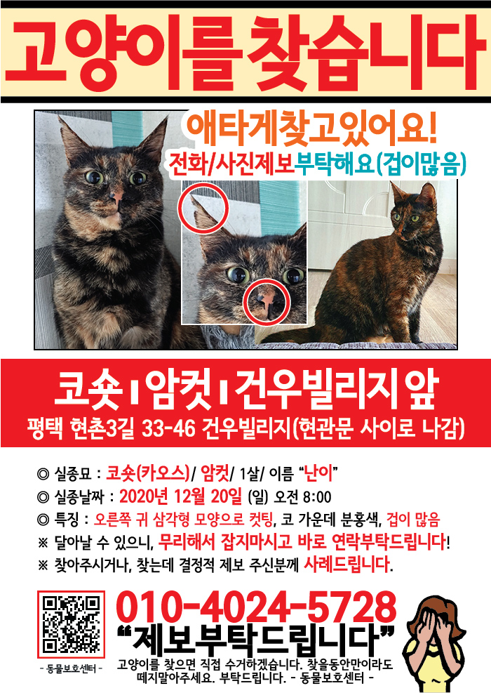 강아지 고양이 전단지