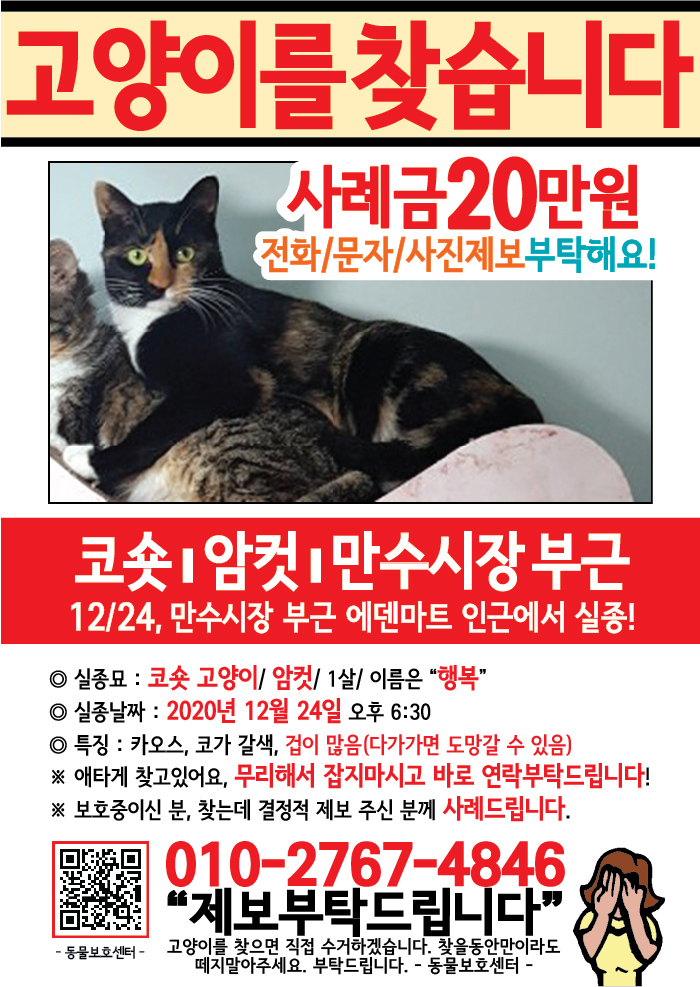 강아지 고양이 전단지