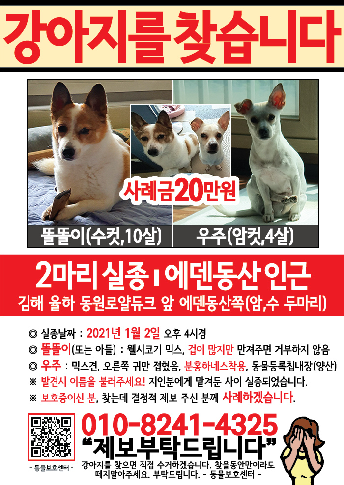 강아지 고양이 전단지