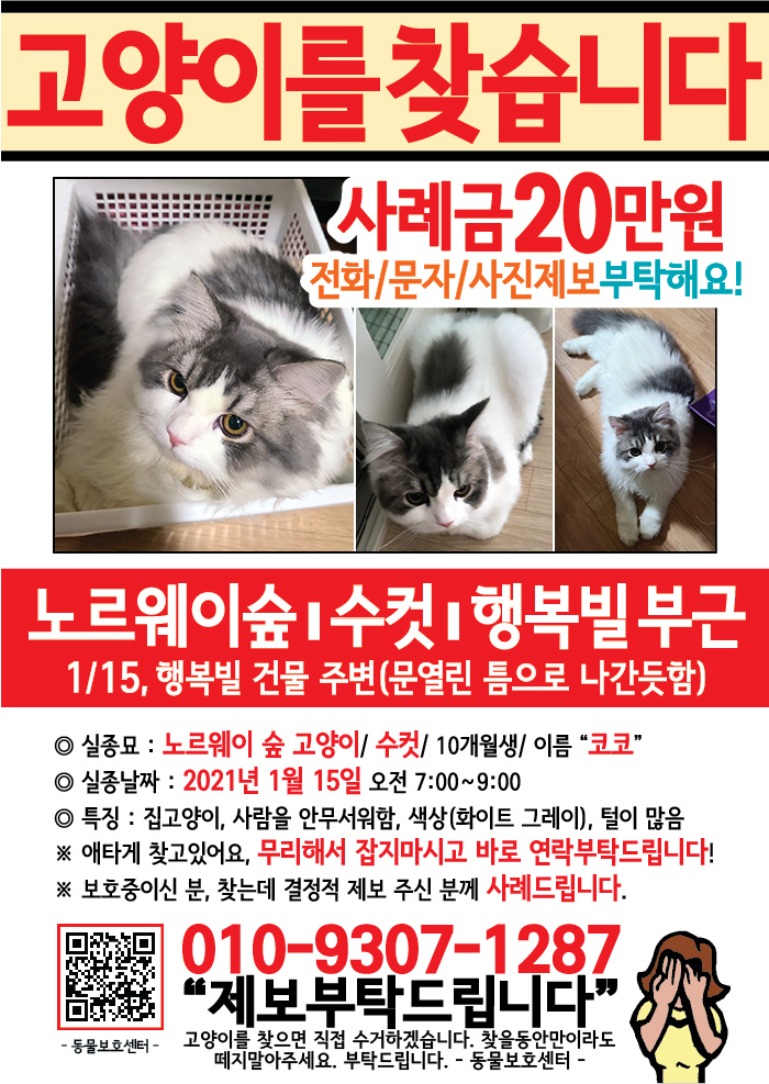 강아지 고양이 전단지