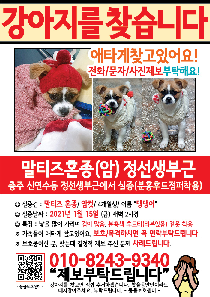 강아지 고양이 전단지